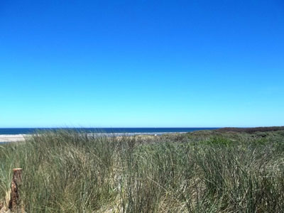 Dünen Langeoog