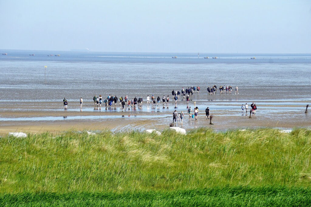 Wattwanderung-Nordsee